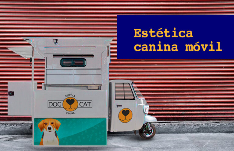 Consejos para iniciar una estética canina móvil Atul